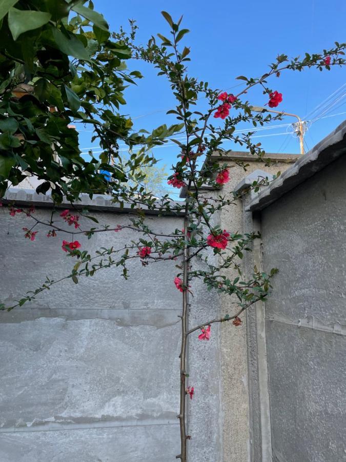 Kvara'S House Kutaisi Dış mekan fotoğraf